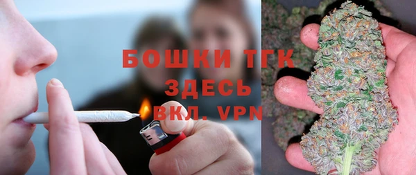 прущие грибы Гусев