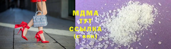прущие грибы Гусев