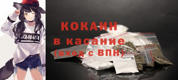 гидропоника Горнозаводск