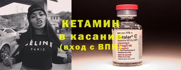 прущие грибы Гусев