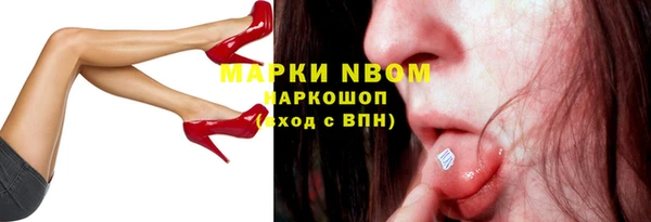 прущие грибы Гусев