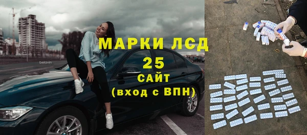 прущие грибы Гусев