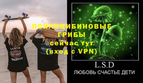прущие грибы Гусев