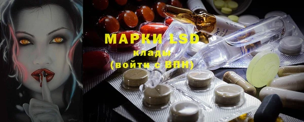 прущие грибы Гусев