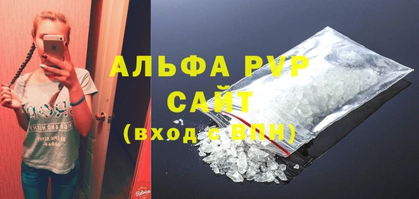 прущие грибы Гусев