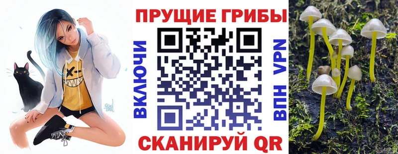 Галлюциногенные грибы мицелий  Алатырь 